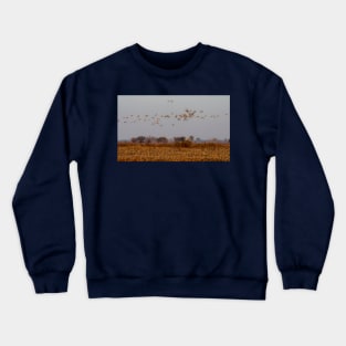 Sandhill Cranes Morning Departure Crewneck Sweatshirt